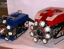 ROV for outage support