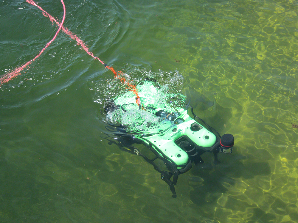 Deep Ocean Engineering | TRIGGERFISH ROV | California, USA